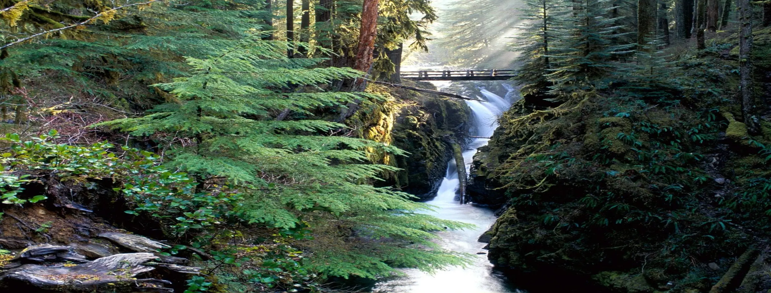 Image for Olympic National Park